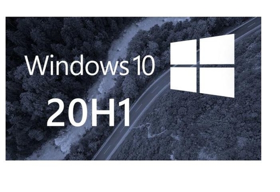 Windows 10 Pro PC Klucz produktu Naklejka Coa Aktywacja online