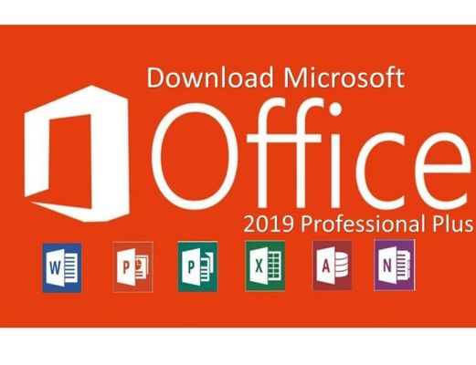 MS Web FPP Windows Office 2019 Klucz produktu do komputera