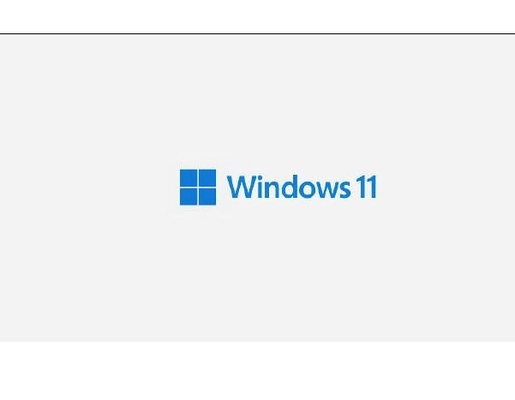 PC Windows 11 Pro Klucz licencyjny X21 Naklejka Coa z hologramem Wygraj klucz produktu 11