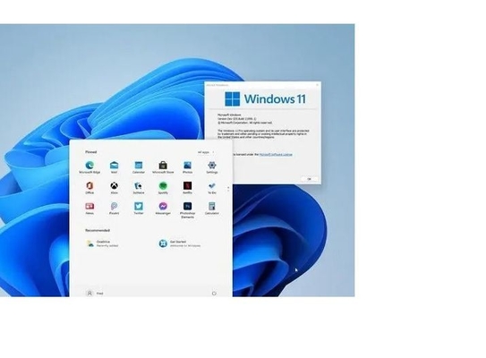 Komputerowa naklejka na klucz aktywacyjny Windows 11 Coa / klucz produktu Win 11 Pro na komputer stacjonarny